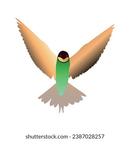 Free photo cute beeeater colorful bird sitting on the tree branch with blurred background. Wallpapers resolution birds high definition bird.