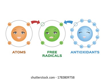 Free Radical And Antioxidant Vector. Antioxidant Donates Electrosn To Free Radicals. Infographic Cartoon On White