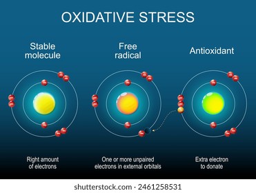 Free radical, Stable molecule and Antioxidant. Atom structure. Antioxidant donates electron to Free radical. Oxidative stress. Isometric Flat vector illustration.