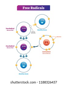 Free Radicals, Antioxidant And Healthy Atom Explanation Vector Illustration Diagram. Unstable And Highly Reactive Electron Donation From Molecules As Oxidants Or Reductants.