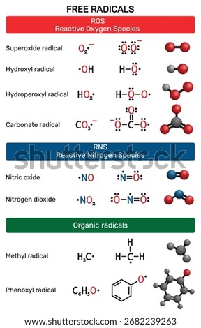 Free radicals molecule. Reactive oxygen species (ROS), reactive nitrogen species (RNS). Superoxide, hydroxyl, hydroperoxyl, carbonate, nitric oxide, nitrogen dioxide, methyl and phenoxyl radical
