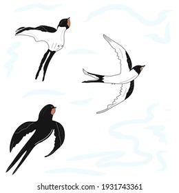 Free swallows in the sky illustration. Idea for decors, picture in frame, gifts, ornaments, patterns, celebrations, invitation, greeting, wedding, spring holidays, nature themes. Ready-made artwork.