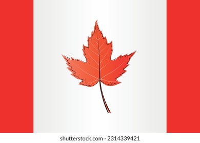 Free vector for canada day 