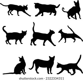 Black cat image Royalty Free Stock SVG Vector