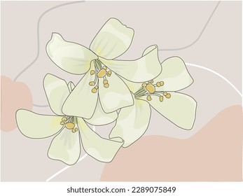 Free vector colored realistic white magnolia flower composition with green calligraphy description
