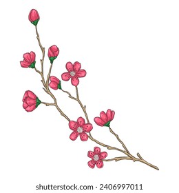 Free vector colorful beautiful flower detail line art