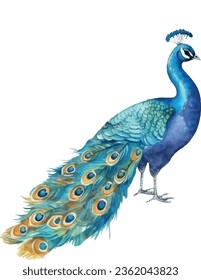 Free vector colorful bird illustration 