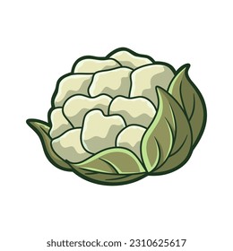 Free vector cute cabbage fruit and vegetable hand drawn style