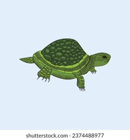 Free vector hand drawn turtle sketch Vector illustration design