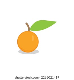 Free vector isolated orange with leaf