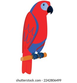 Free vector parrot with colorful feather illustration.
