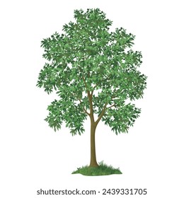 Free vector tree vector illustration