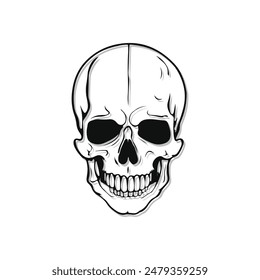 free vector vintage human skull illustration