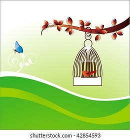 freedom concept bird cage butterfly