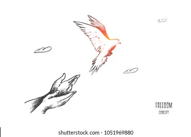 Freiheitskonzept. Handgezeichnete Taube fliegt aus zwei Händen. Freiheit des Lebens, freier Vogel genießt die Natur einzelne Vektorgrafik.