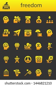 freedom icon set. 26 filled freedom icons.  Simple modern icons about  - Mind, White house, Pigeon, Scale, Peace, Motivation, Paper plane, Hot air balloon, Pelican, Parrot, Wingsuit