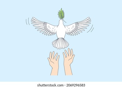 Freedom and releasing good news concept. Human hands letting white pigeon with green leaf in beak go over blue sky background vector illustration 