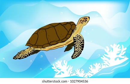 Freedom : A turtle has long life under complete ecology