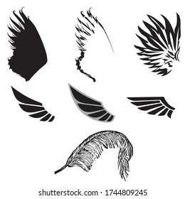 freedom wings free bold drawing feather