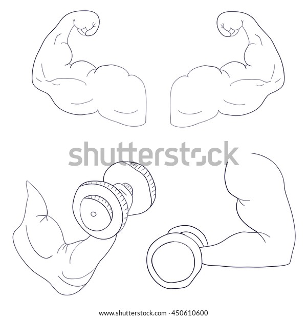 Freehand Cartoon Strong Arm Flexing Bicep Stock Vector Royalty Free 450610600 8473