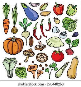 Freehand color  drawing vegetables on white. Vector illustration. Set 3