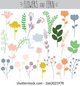 41 Freehand Summer Ferns And Flowers Vector Doodles Images, Stock 