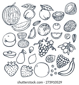 Freehand doodle drawing fruits . Vector illustration. Set