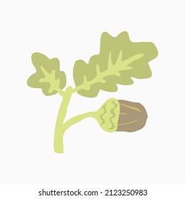 Freehand drawing of acorns and leaves vector
