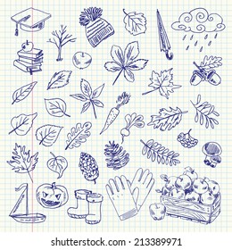 Freehand Drawing Autumn Items On A Sheet Of Exercise Book. Vector Illustration. Set