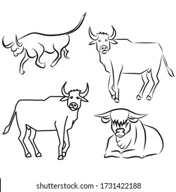 Freehand drawing of the bulls, a symbol of the new year. Linear art set