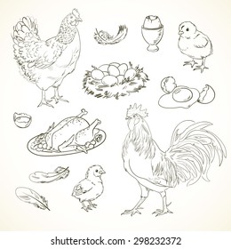 Freehand drawing chicken items on a sheet of exercise book. Vector illustration. Set. Black and white