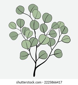 Freehand drawing of Eucalyptus branch. Vector illustration.