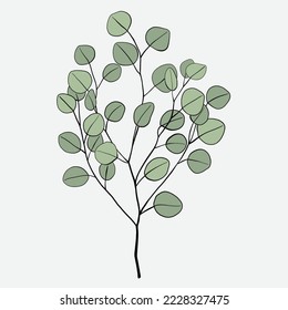 Freehand drawing of Eucalyptus branch. Vector illustration.