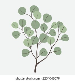 Freehand drawing of Eucalyptus branch. Vector illustration.