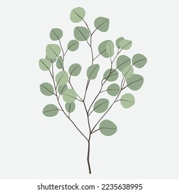 Freehand drawing of Eucalyptus branch. Vector illustration.