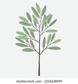 Freehand drawing of Eucalyptus branch. Vector illustration.