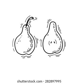 Freehand drawing fruit. Vector illustration. Fruits. Vector fruits at engraving style. Hand drawn illustrations of fruits. Fruit in sketch style. Vector pear