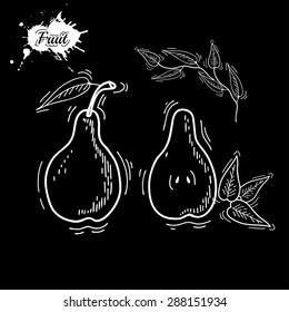 Freehand drawing fruit. Vector illustration. Fruits. Vector fruits at engraving style. Hand drawn illustrations of fruits. Fruit in sketch style. Vector pear