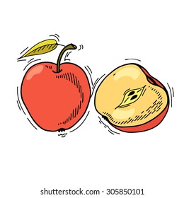 Freehand drawing fruit. Vector illustration. Fruits. Vector fruits at engraving style. Hand drawn illustrations of fruits. Fruit in sketch style. Vector apple
