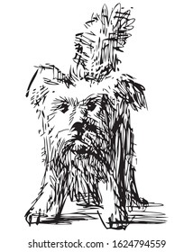 Freehand drawing of funny shaggy lap dog