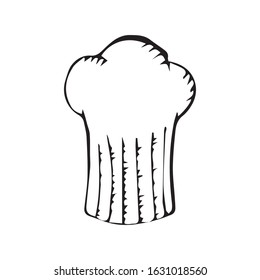 freehand drawing hat vector sketch