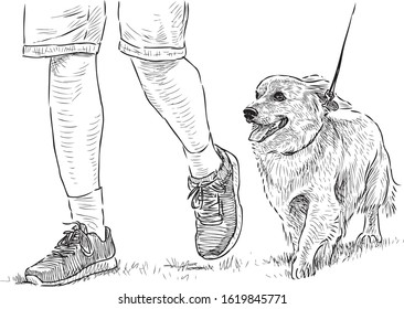 Freehand drawing of longhair dachshund with her owner going on a walk