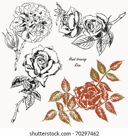 Freehand drawing - rose
