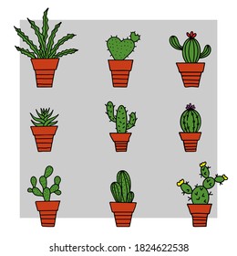 Freehand drawing 
set of colored cacti