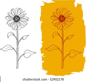 Freehand drawing of a sunflower in two versions, vector