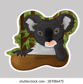 Freehand drawing thoughtful Koala in eucalyptus forest.