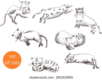 Freehand drawing vector abstract sketches. Set of funny cat in different angles.Outline graphic arts on a transparent background. Template vintage pattern eps  image for card, poster, textile print 