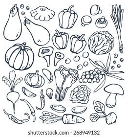 Freehand drawing vegetables on white. Vector illustration. Set
