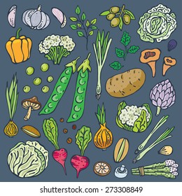 Freehand drawing vegetables on white. Vector illustration. Set