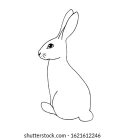 Freehand drawn black line vector cartoon doodle hare, easter bunny isolated on white background. For the design of children's coloring, prints of clothes, stickers, labels. Wildlife, forest animals